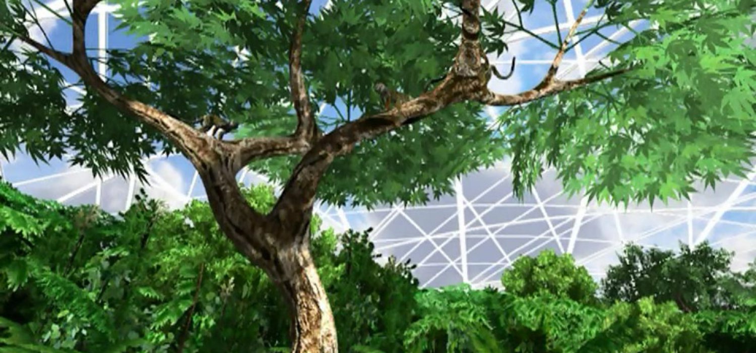 projektbild